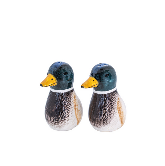Salière et poivrière Duck