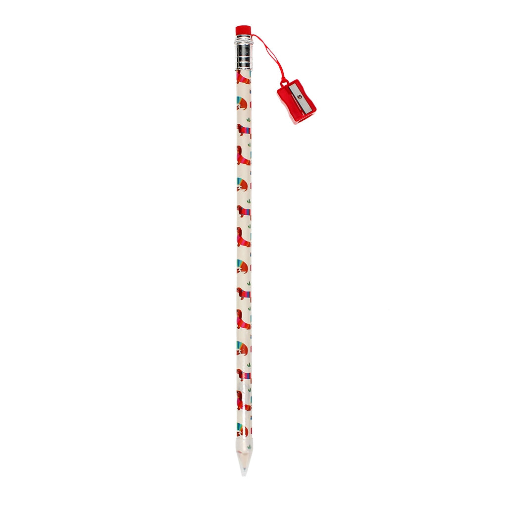 Crayon XXL avec taille-crayon - Teckel