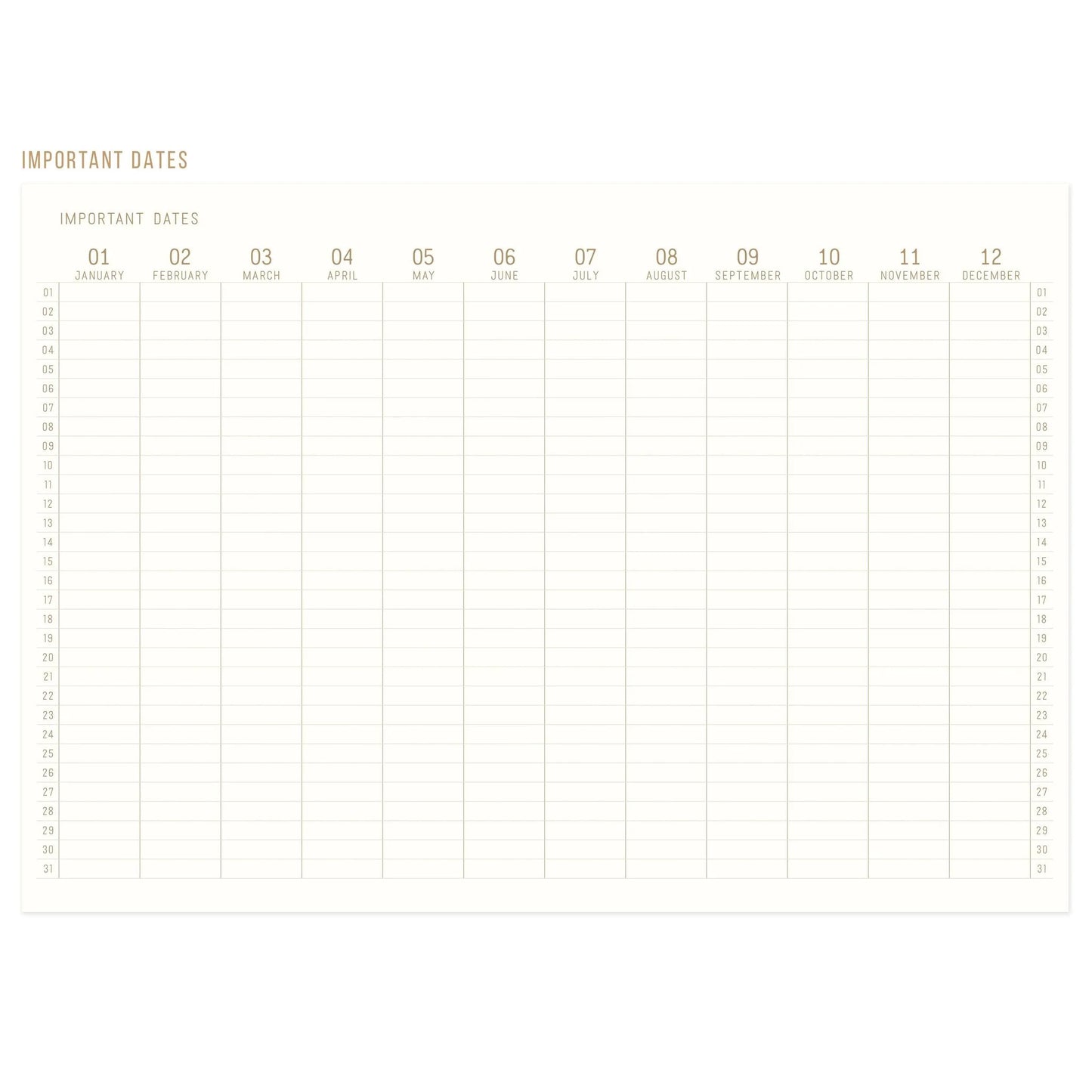Journal Bookcloth jumbo - Live by the sun