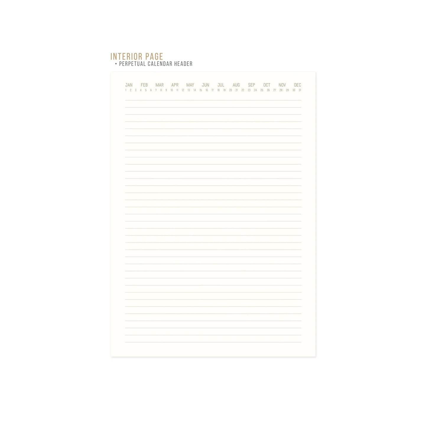 Journal Bookcloth jumbo - Live by the sun