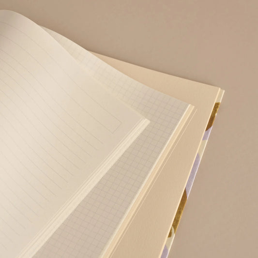 Journal Pedro — Season Paper , Lyon