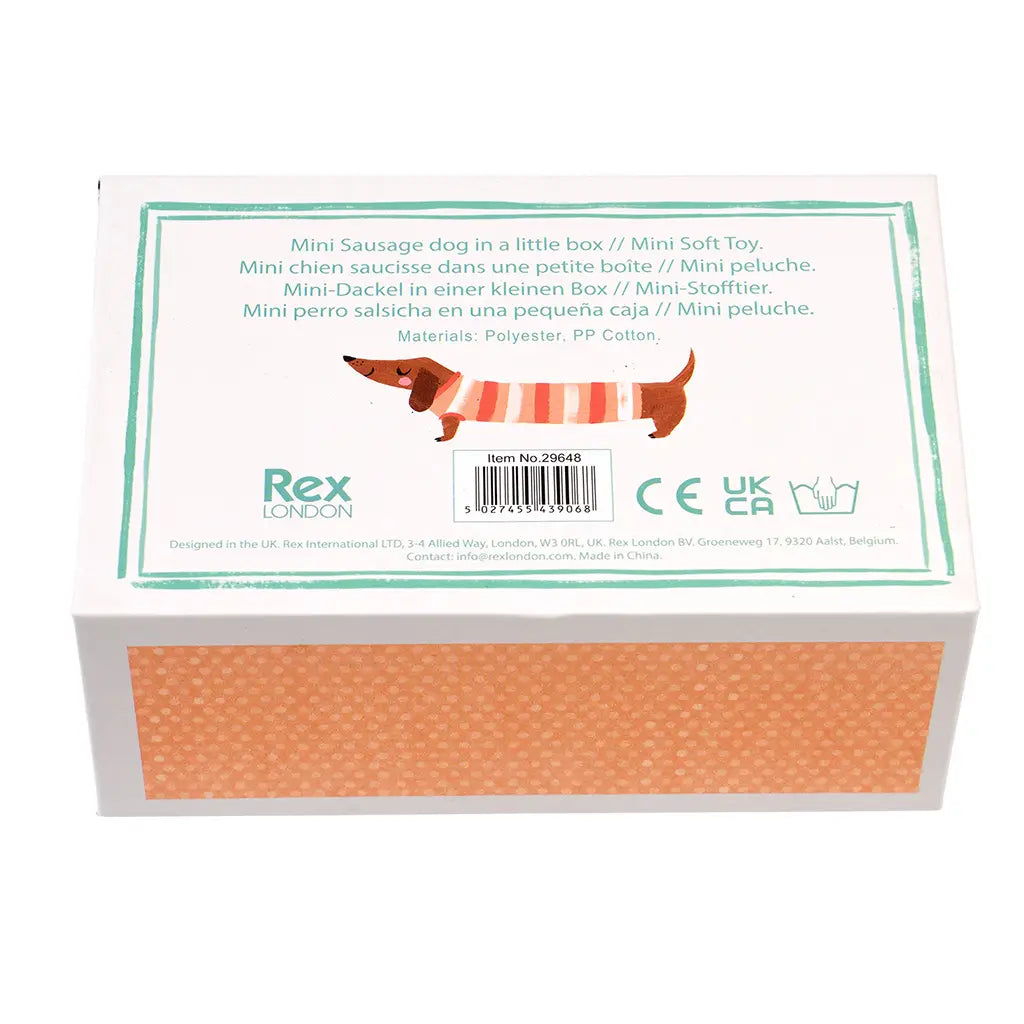 Teckel dans sa boîte — Rex , Lyon