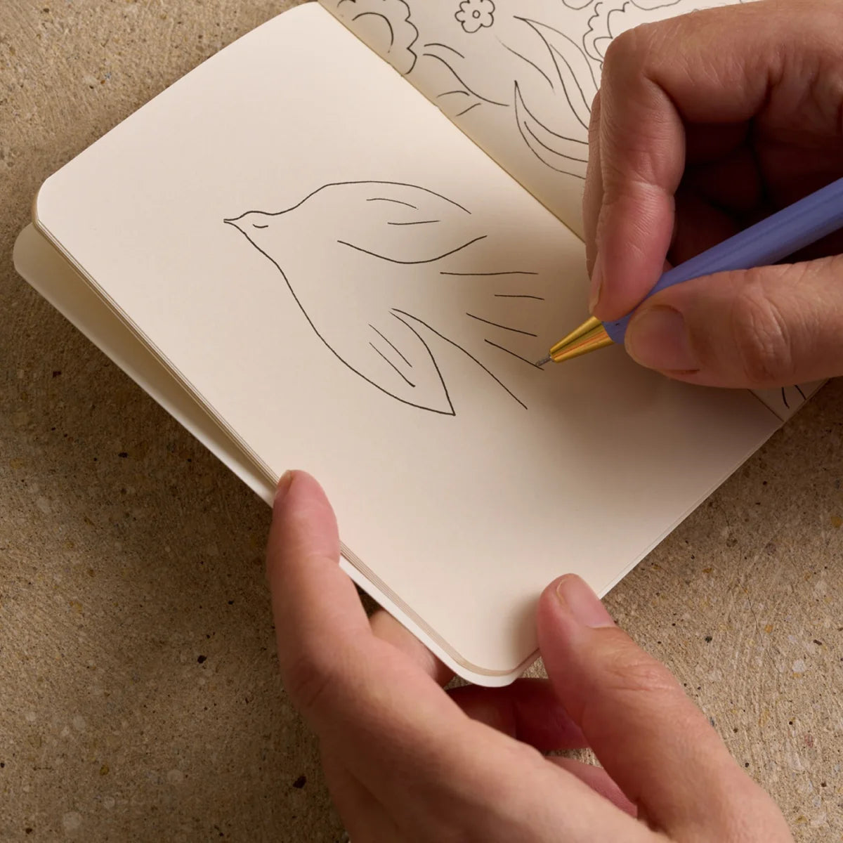 Carnet de poche Radis