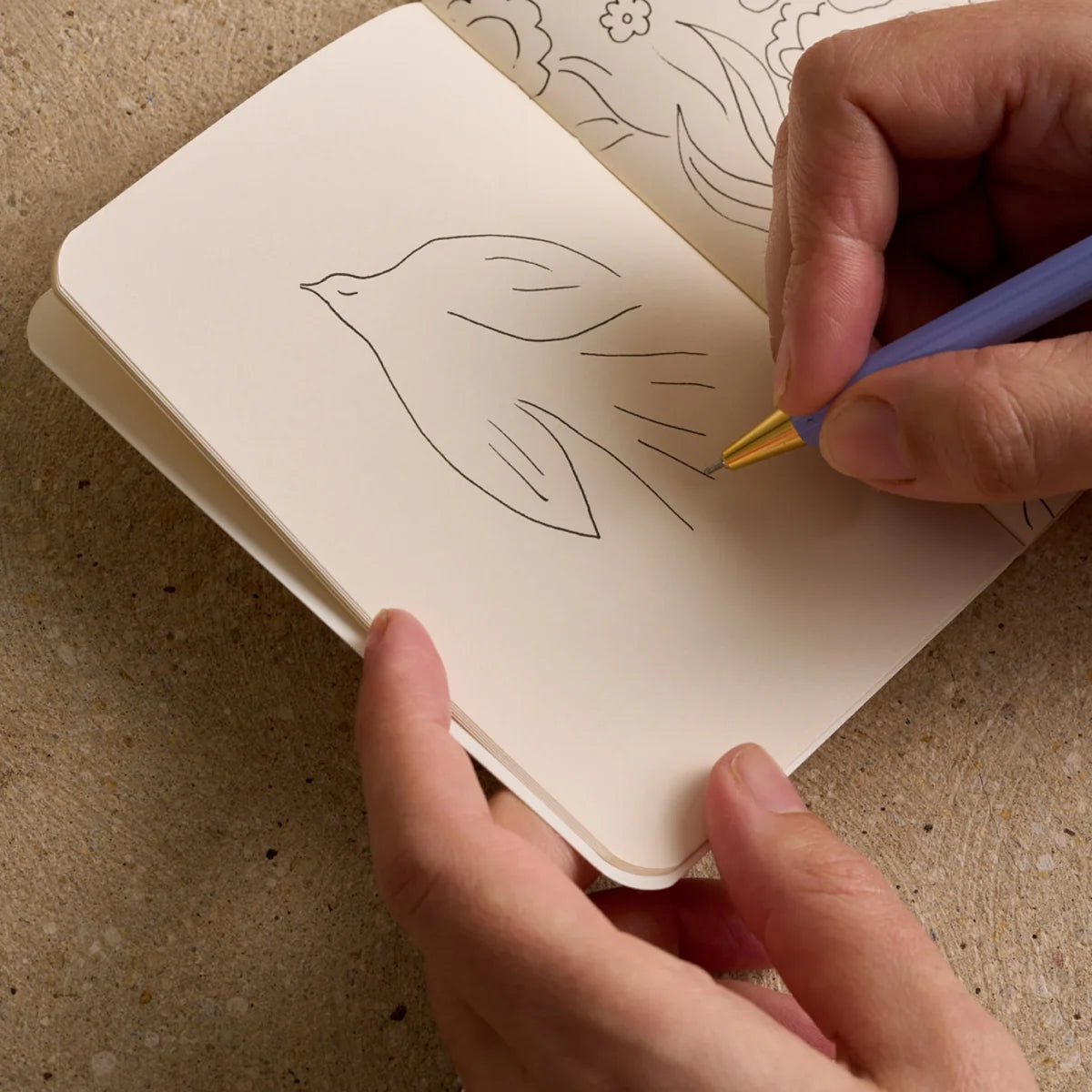 Carnet de poche Aube