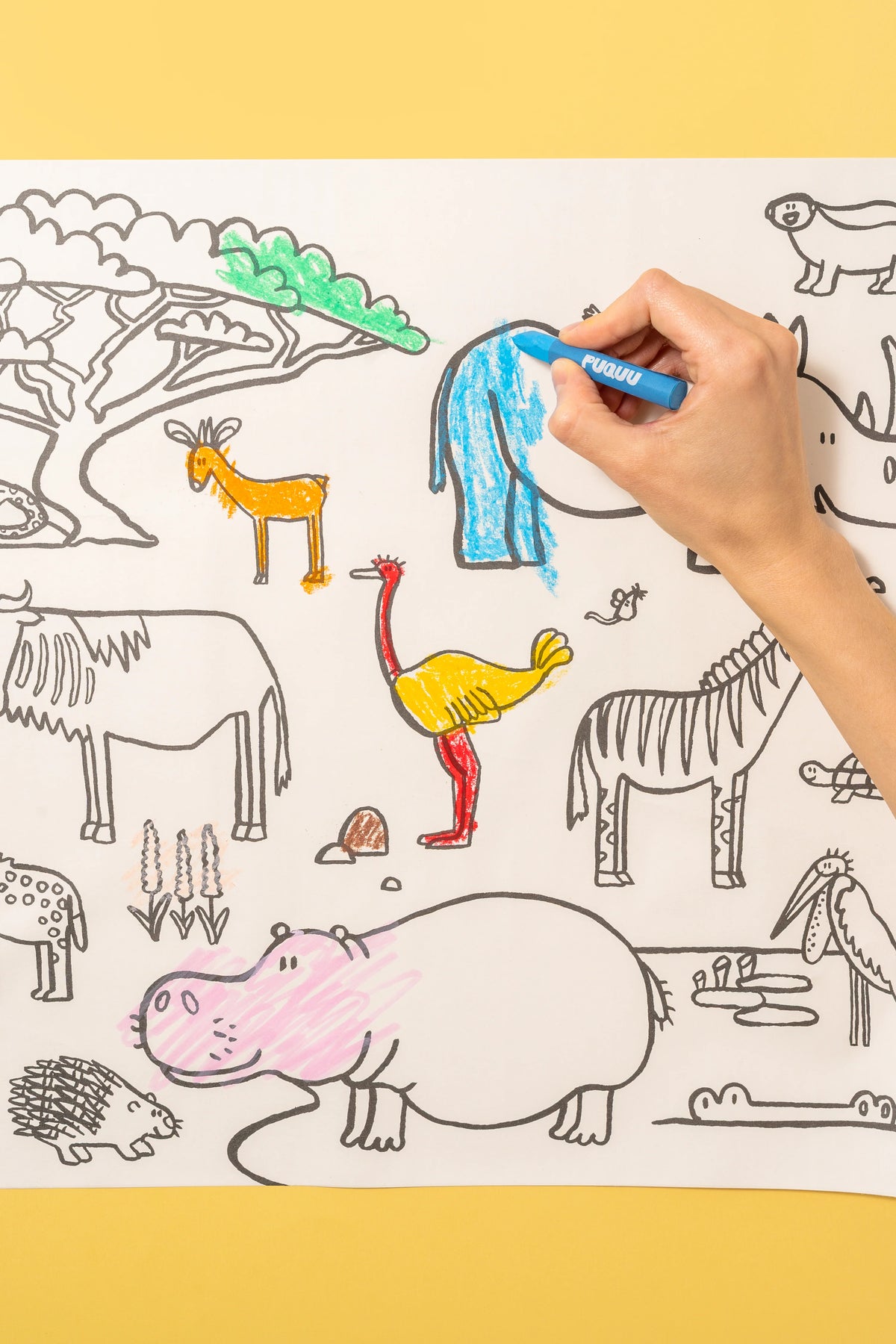 Rouleau de dessin adhésif - Animals