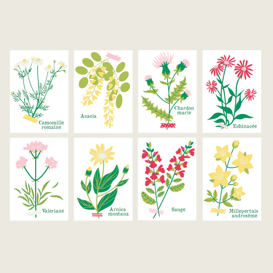 Kit de peinture au numéro 8 cartes - Cueillettes — Salut Irène , Lyon