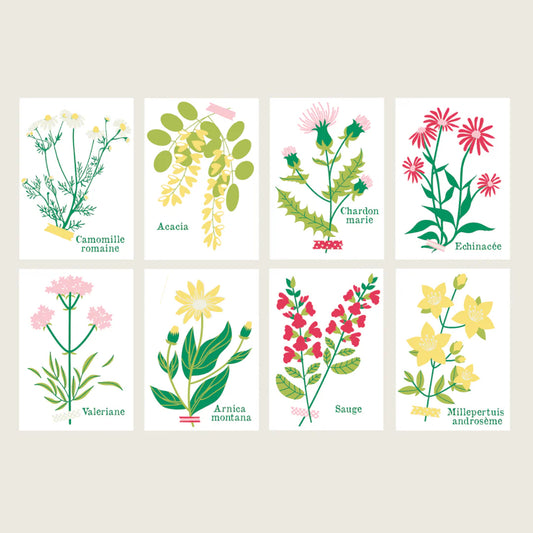 Kit de peinture au numéro 8 cartes - Cueillettes — Salut Irène , Lyon