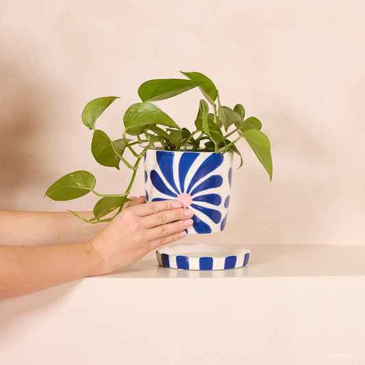 Pot Lior - Fiesta Floral 2