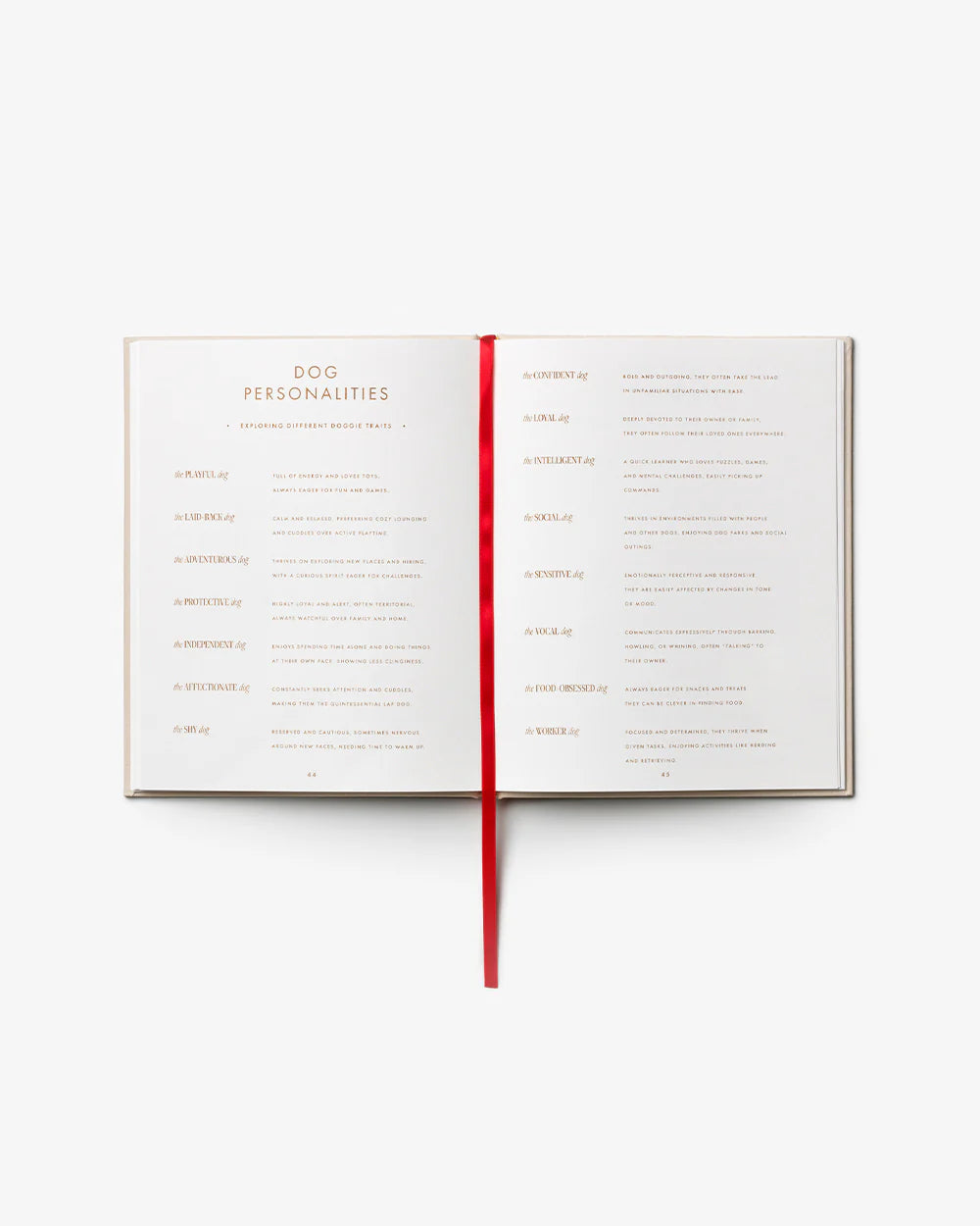 Livre à remplir - A dog's life — Printworks , Lyon