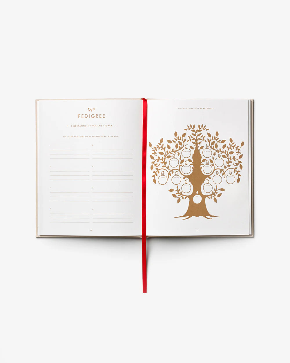 Livre à remplir - A dog's life — Printworks , Lyon