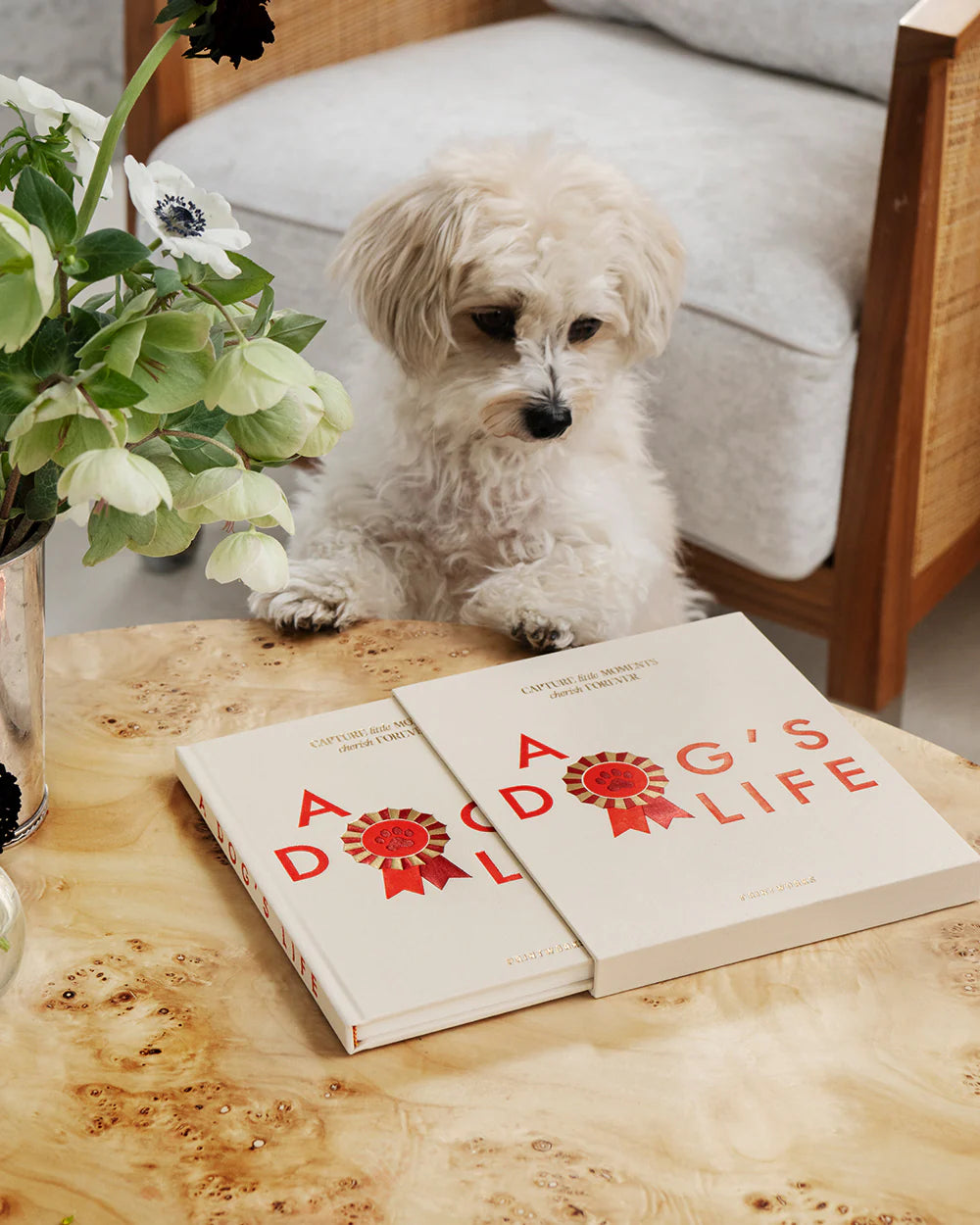 Livre à remplir - A dog's life — Printworks , Lyon
