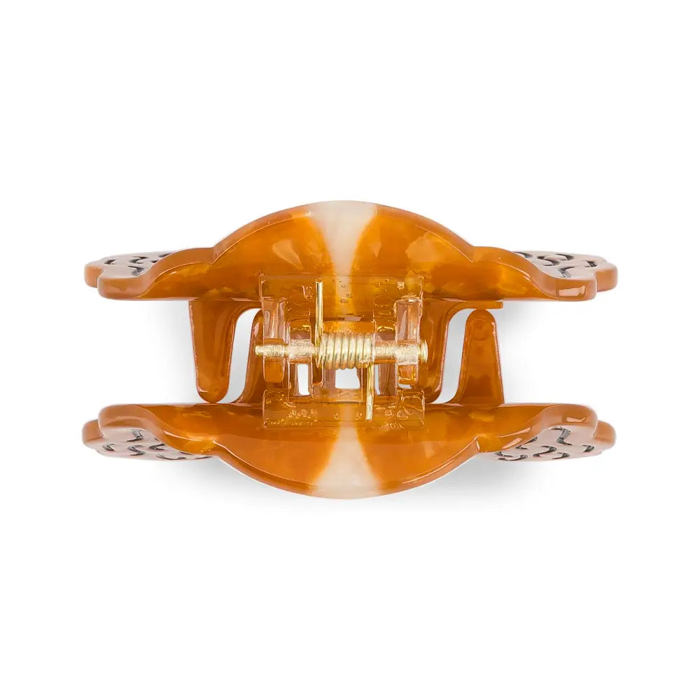 Pince Alba le springer — Luciole et petit pois , Lyon