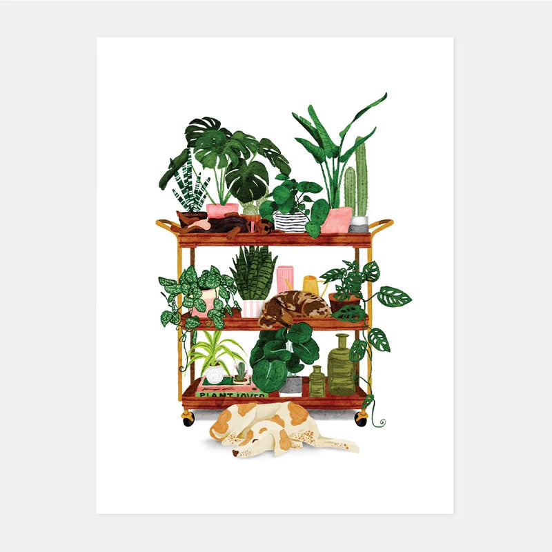 Affiche medium - Plant shelf — All the ways to say , Lyon