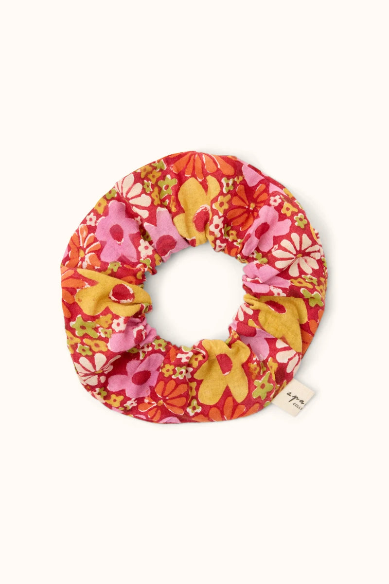 Chouchou Manju - Janie dahlia — Apaches collections , Lyon