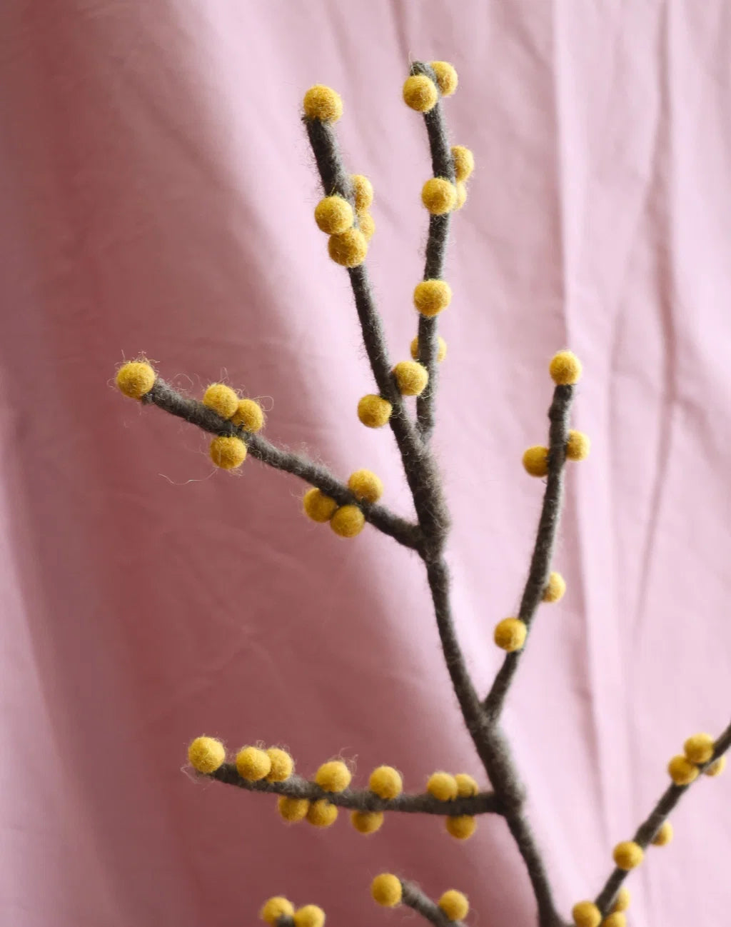 Branche avec des baies jaunes