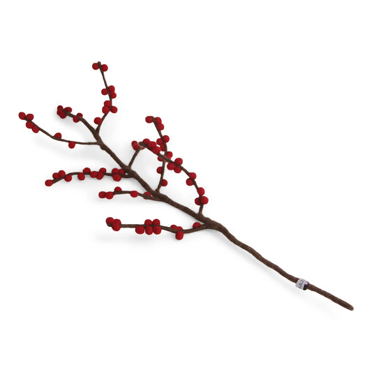 Branche avec des baies rouges