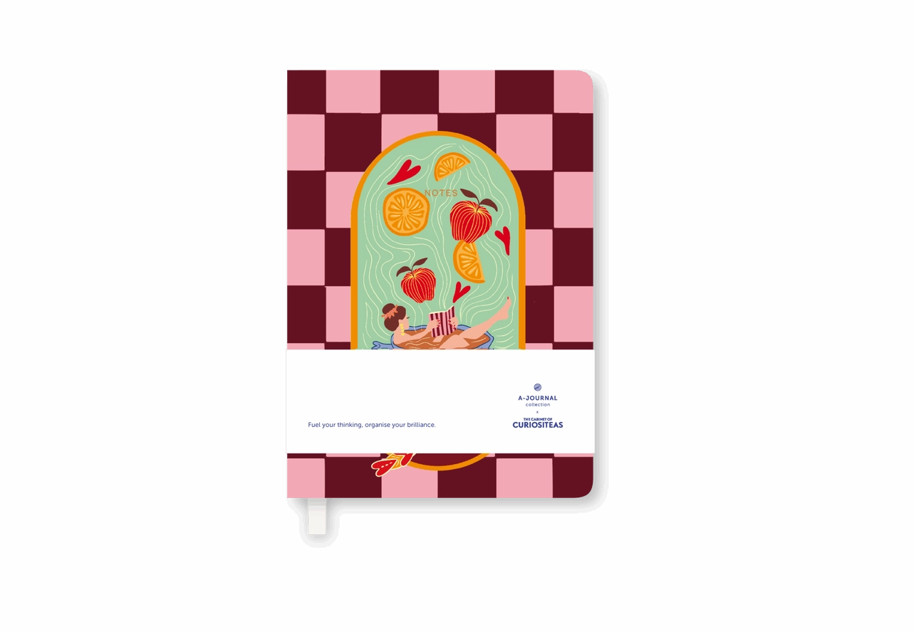 Carnet - Curiositeas damiers