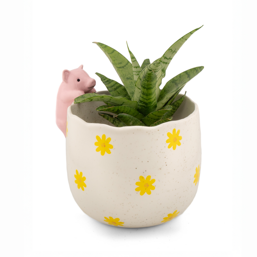Cache pot peeking - Pig — Sass and Belle , Lyon