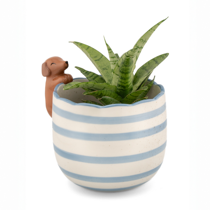 Cache pot rayé bleu avec Teckel