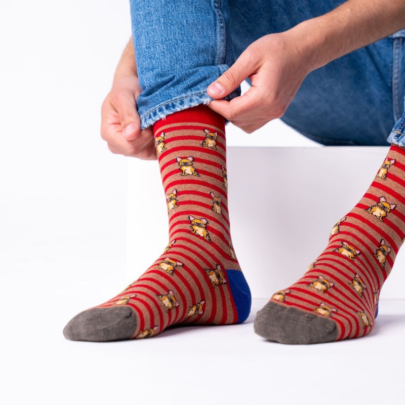 Chaussettes Animaux - Marcel - Taille 41/46