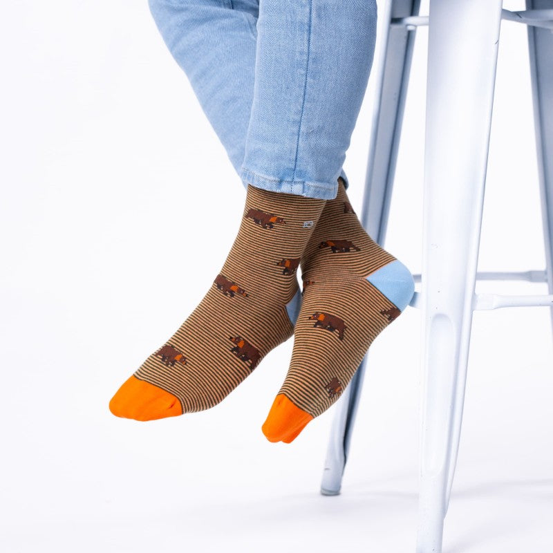 Chaussettes Animaux - Ours - Taille 41/46