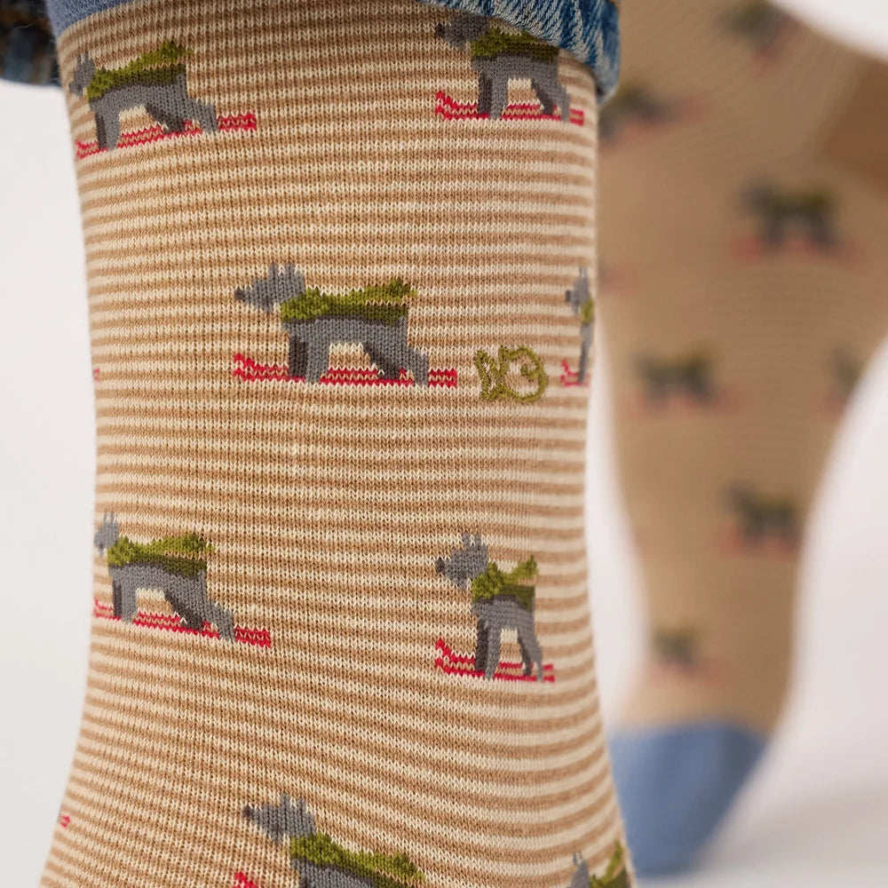 Chaussettes à motifs - Chien skieur - Taille 41/46