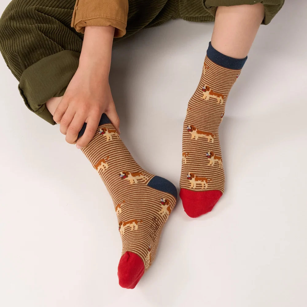 Chaussettes enfant animaux - Saint-Bernard - Taille 27/30