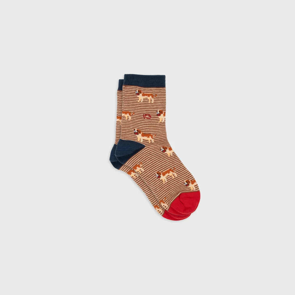 Chaussettes enfant animaux - Saint-Bernard - Taille 27/30