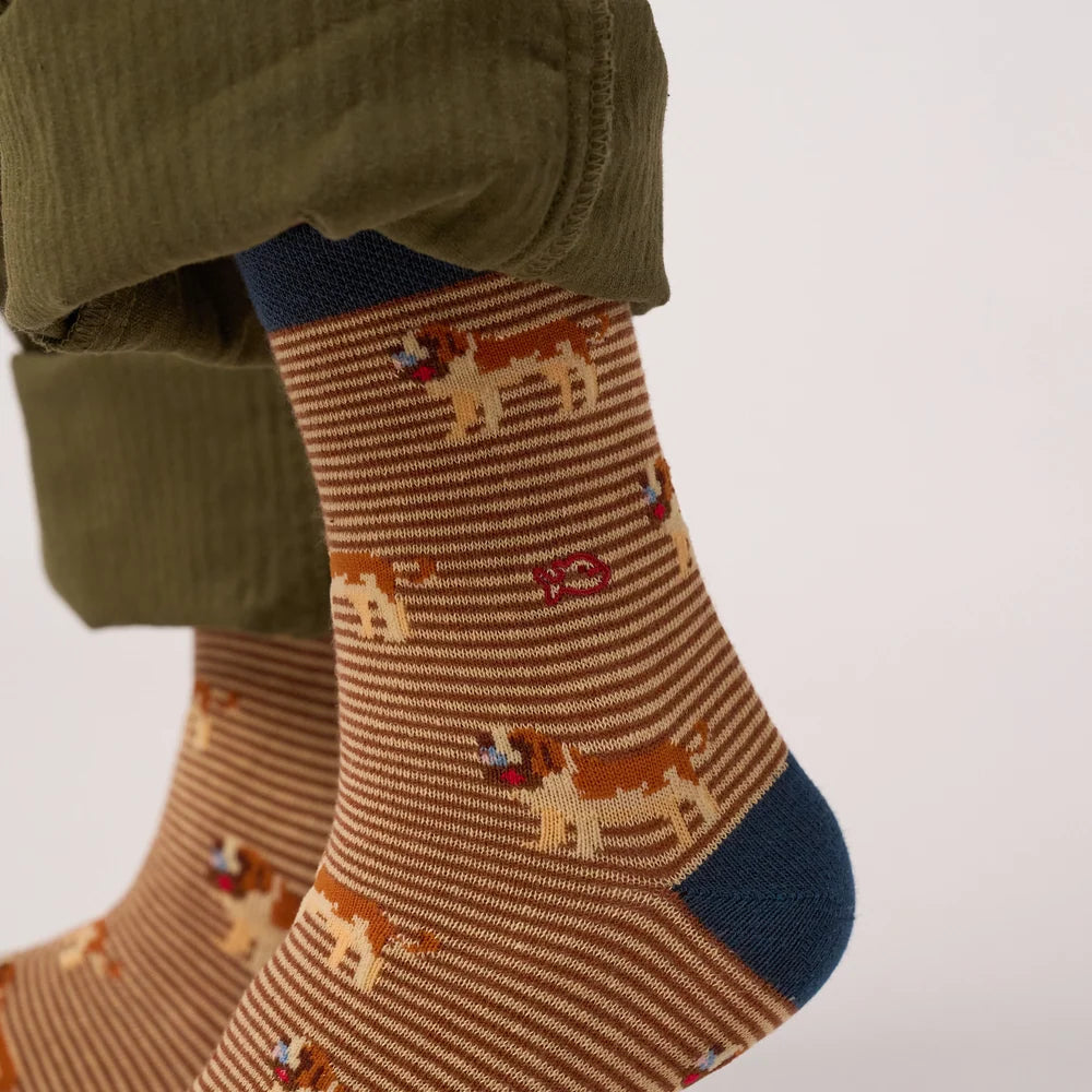 Chaussettes enfant animaux - Saint-Bernard - Taille 27/30