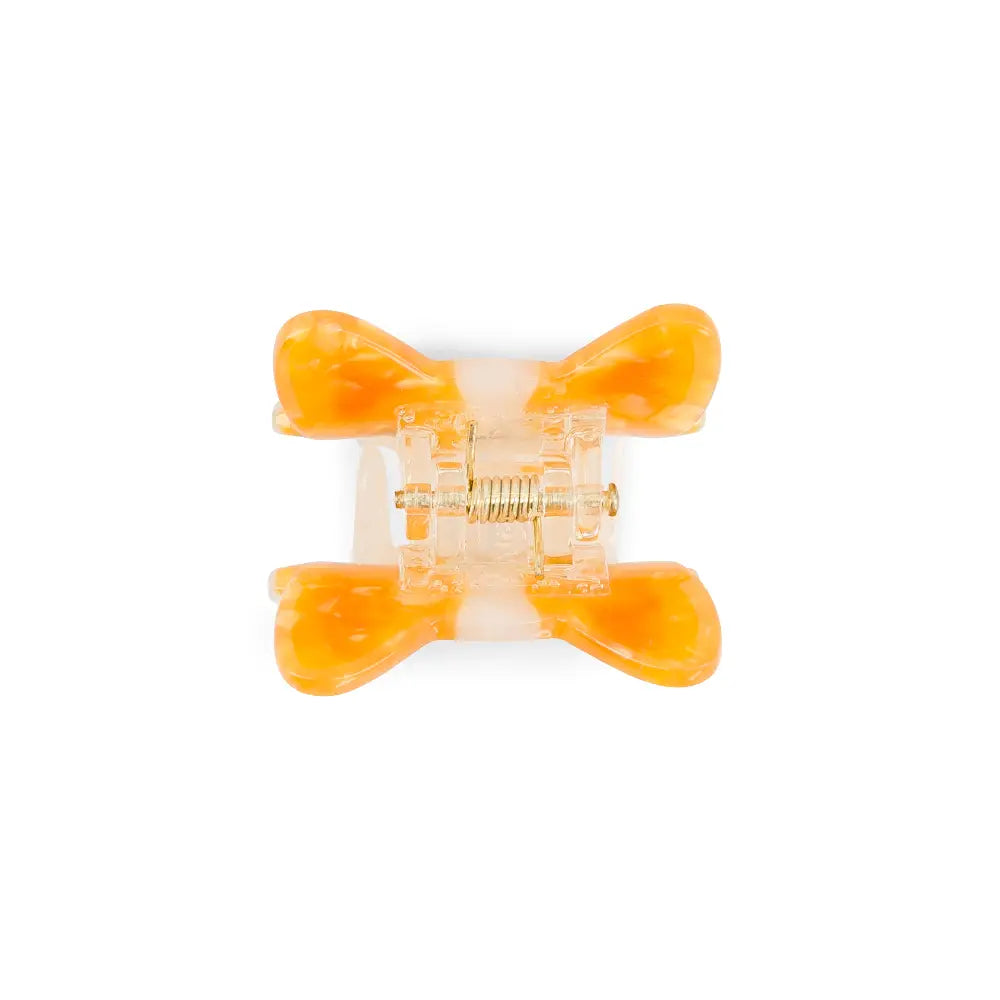 Pince Rosie le corgi — Luciole et petit pois , Lyon