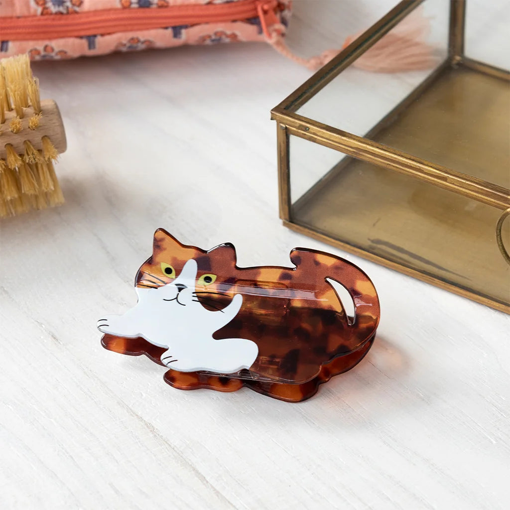 Pince Chat