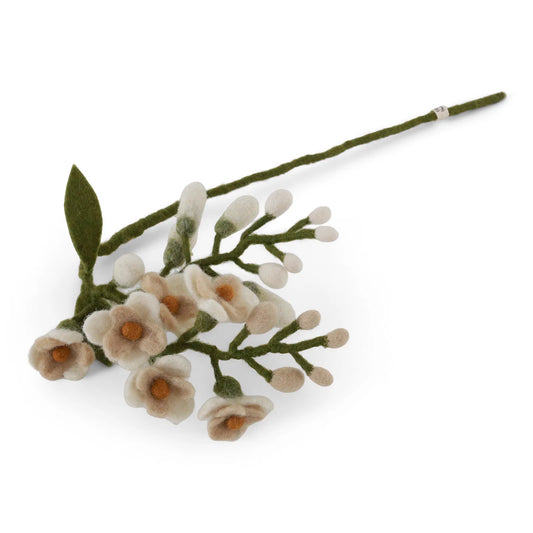 Glycine - Blanc