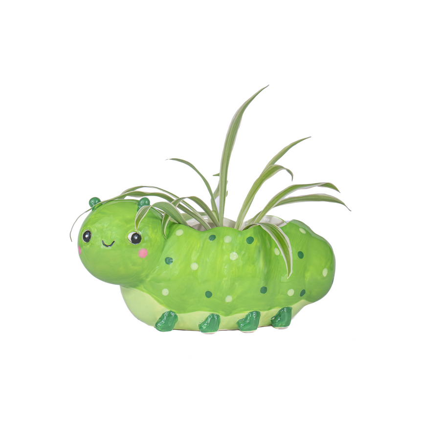 Pot pour mini plante - chenille — Sass and Belle , Lyon