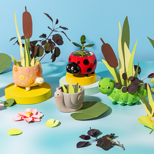 Pot pour mini plante - Ladybird coccinelle — Sass and Belle , Lyon