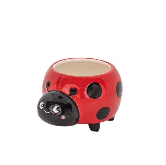 Pot pour mini plante - Ladybird coccinelle — Sass and Belle , Lyon