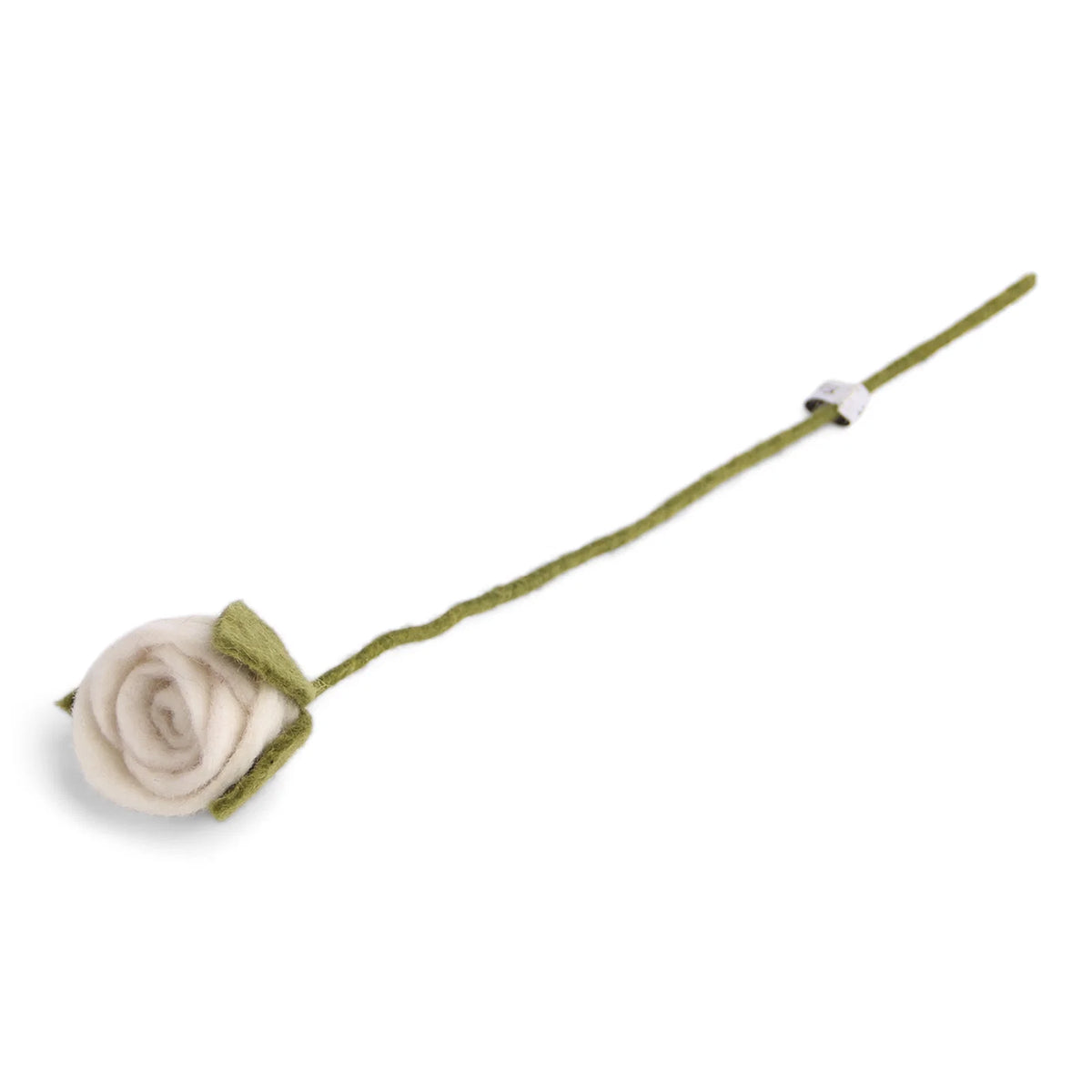 Rose blanche