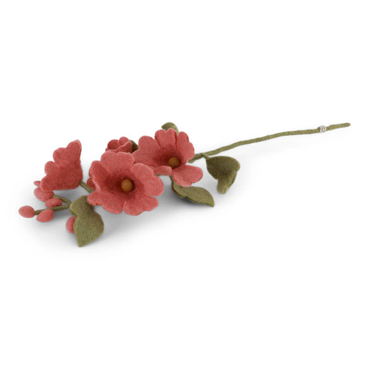 Rose trémière - Rouge poudré
